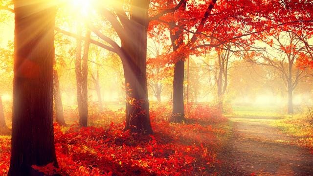 foton licht therapie nodig in de herfst