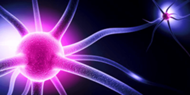 licht in de zenuwcellen gefotografeerd