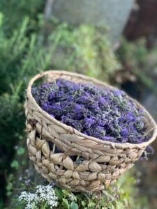 aroma soul lavendel experience